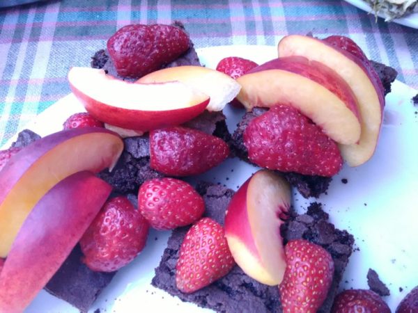 brownies opskrift brownies med frugt brownies uden mælk